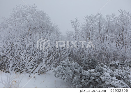 Central Alps Senjojiki Cirque Nagano Prefecture Trees Covered with Juhyo Central Alps Senjojiki Cirque Nagano Prefecture Trees Covered with Juhyo 93932806