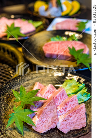 Miyazaki's Exquisite Takachiho Beef, Winner of the Prime Minister's Award, Loin Focus 93933529