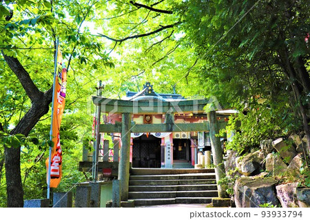 Aga Shrine/Tarobogu Shrine 93933794