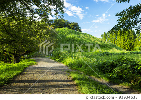 埼玉古墳（Maruhakayama古墳）_ 93934635