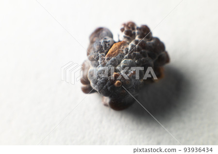 Kidney stone, intact, formed in an alkaline environment in the kidneys after ESWL intervention or surgery. Lithotripsy. Extreme macro photography. selective focus 93936434