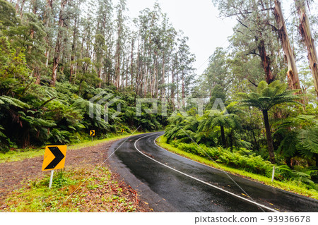 Donna Buang Rd Drive in Victoria Australia Donna Buang Rd Drive in Victoria Australia 93936678