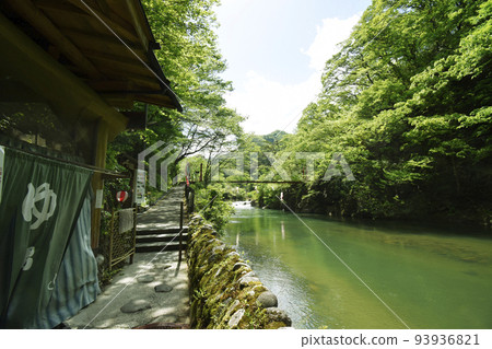 鮮綠色的小原溫泉桂之湯(宮城縣白石市) 鮮綠色的小原溫泉桂之湯(宮城縣白石市) 93936821