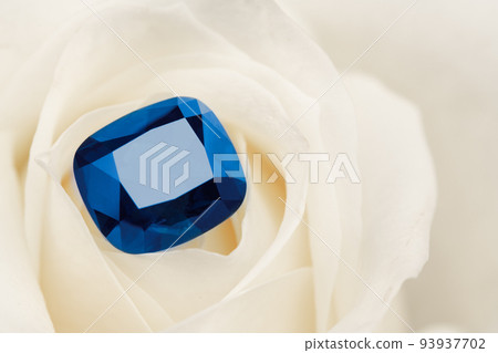 Blue Sapphire Gemstone on White Rose Petals Blue Sapphire Gemstone on White Rose Petals 93937702