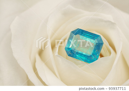 Blue Sapphire Gemstone on White Rose Petals 93937711