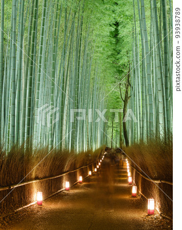 Kyoto Arashiyama_Superb view of Arashiyama Hanatouro 93938789