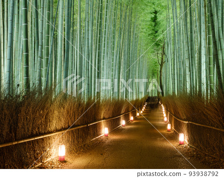 Kyoto Arashiyama_Superb view of Arashiyama Hanatouro 93938792