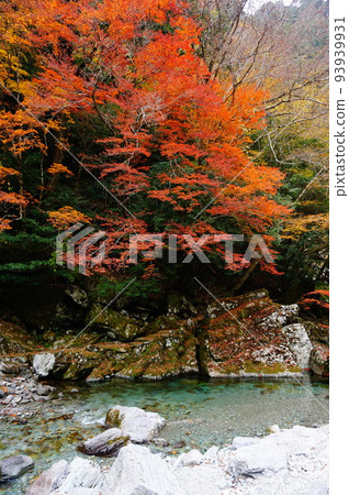 日本高知縣阿川郡仁淀川町秋葉清流 93939931