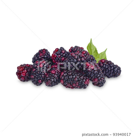 Fresh Blackberry with leaves isolated on white background 93940017