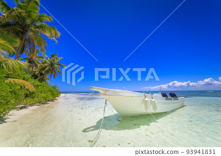 Tropical caribbean beach with palm trees and anchored boat, Punta Cana Tropical caribbean beach with palm trees and anchored boat, Punta Cana 93941831