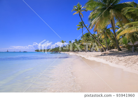 Tropical idyllic caribbean beach with sailboats, Punta Cana, Dominican Republic Tropical idyllic caribbean beach with sailboats, Punta Cana, Dominican Republic 93941960