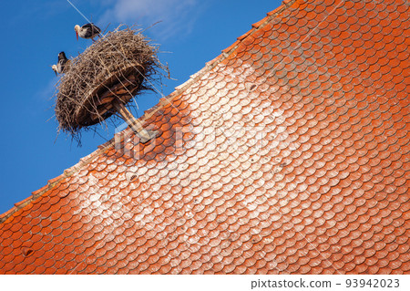 Stork nest in Colmar alsatian architecture at springtime, Eastern France Stork nest in Colmar alsatian architecture at springtime, Eastern France 93942023