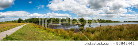Landscape view over green grass, heather vegetation and water ponds of the fen national park, The Netherlands Landscape view over green grass, heather vegetation and water ponds of the fen national park, The Netherlands 93942445