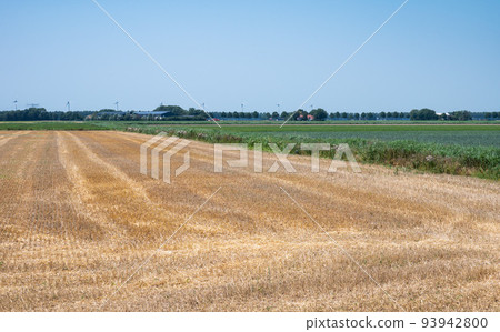 Colorful farmland over blue sky at the Dutch countryside around Kampen 93942800