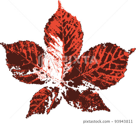 Horse chestnut leaf stamp. Imprint of fallen leaves. Autumn pattern. Horse chestnut leaf stamp. Imprint of fallen leaves. Autumn pattern. 93943811