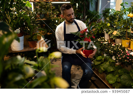 gardener florist surrounded by potted plants and natural flowers gardener florist surrounded by potted plants and natural flowers 93945087