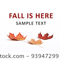 Autumn leaves lie on a white floor 93947299