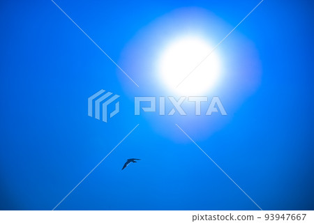 Blue sky birds and sun 93947667