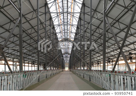 panoramic photo of a modern dairy farm before cows are settled panoramic photo of a modern dairy farm before cows are settled 93950741