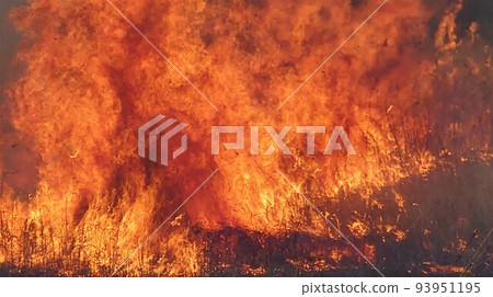 The flames of Hellfire that burns dry grass and gains momentum. The flames of Hellfire that burns dry grass and gains momentum. 93951195