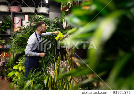 lifestyle photography florist earn in flower shop lifestyle photography florist earn in flower shop 93951575