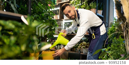 male florist at work in a flower shop male florist at work in a flower shop 93952158
