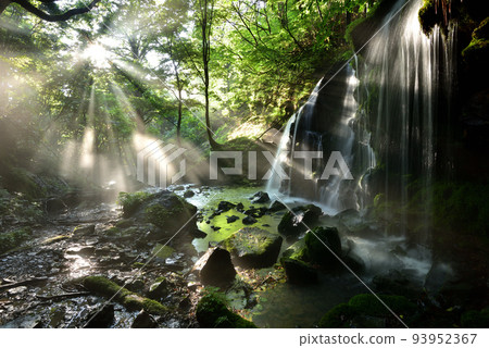 Monkey Bottle Falls 93952367