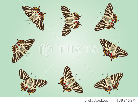 岐阜蝴蝶飛行 岐阜蝴蝶飛行 93954557