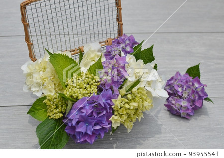 Arrangement of 2 types of hydrangeas 93955541