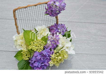 Arrangement of 2 types of hydrangeas 93955542