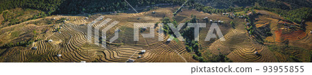 Ban Pa Pong Piang Rice terraces or Baan Pa Pong Pieng in Doi Inthanon national park, Chiang Mai 93955855