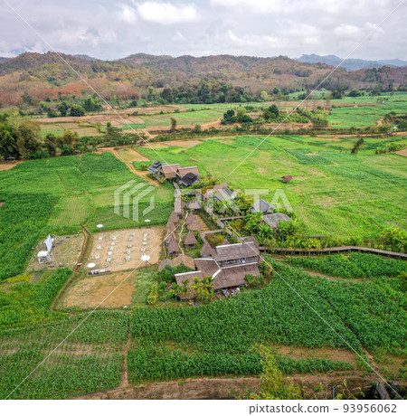 Aerial view of Houses in the middle of rice fields in Nan province, Thailand Aerial view of Houses in the middle of rice fields in Nan province, Thailand 93956062
