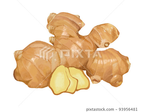 Ginger 93956481