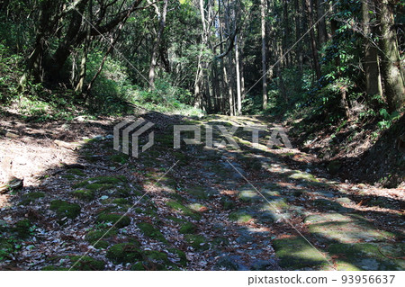 長滿青苔的石牆龍紋寺坂 長滿青苔的石牆龍紋寺坂 93956637