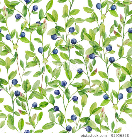 Watercolor illustration of blueberry branches with ripe berries. Seamless pattern with hand drawn elements. 93956828