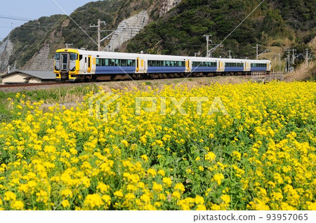 Express Sazanami and Nanohana Express Sazanami and Nanohana 93957065