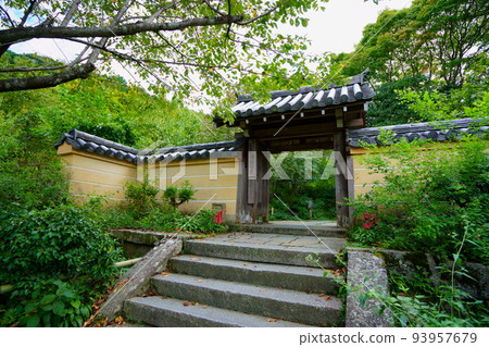 三葉草花開始盛開的淨琉璃寺寺門 93957679