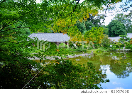 From the main hall of Joruri-ji Temple, early autumn, in the woods 93957698