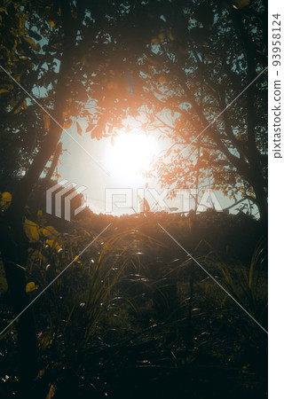 Magic hour tropical sunset 93958124