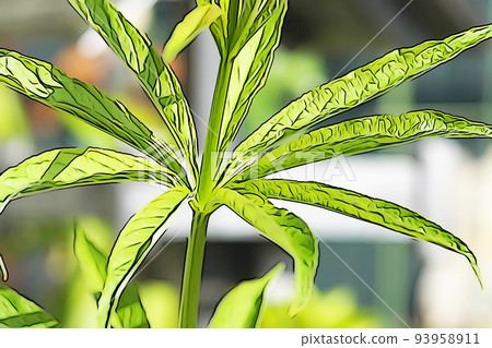 Pastel style "Kugai-sou leaf" illustration image Pastel style "Kugai-sou leaf" illustration image 93958911