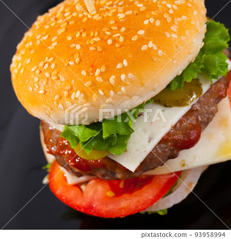 Hamburger is tasty dish on the plate Hamburger is tasty dish on the plate 93958994