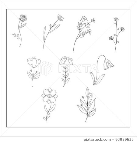 Hand-drawn Set of Floral Illustrations  93959633