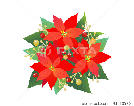 Gorgeous poinsettia bouquet illustration material 93960570
