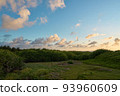 Beautiful meadow scenery 93960609
