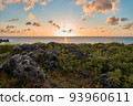 Beautiful sunset and coast 93960611