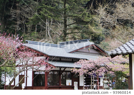 春天的藤川天神風景 春天的藤川天神風景 93960814