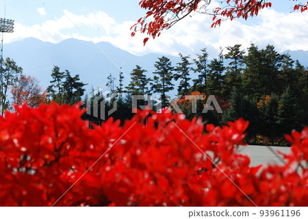 Autumn leaves and mountains Autumn leaves and mountains 93961196