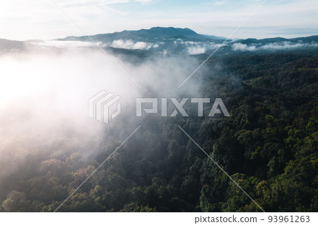 Fog in the mountains at sunrise. Morning fog in the mountains Fog in the mountains at sunrise. Morning fog in the mountains 93961263