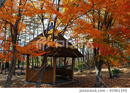 小屋和秋天的落葉 小屋和秋天的落葉 93961349