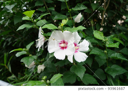 無邊小譚 93961687